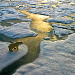 Weathernews Launches “Climate Impact”, a climate change risk analysis service for companies.