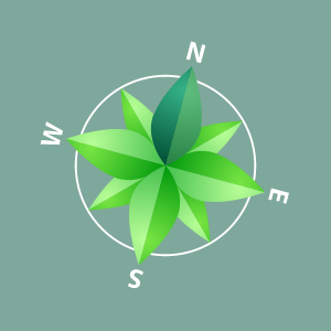 Weathernews launches new service supporting ‘Greener shipping and Sea Logistics’